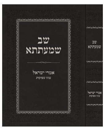 צילום מסך 2025 04 01 153644